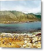 Panoramic Landscape With Penguins Metal Print