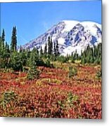 Paradise In Fall On Mt. Rainier Metal Print
