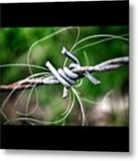 Part Of A Barbed Wire With Single Hairs Metal Print