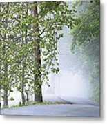 Path Into The Fog Metal Print