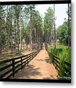 'path To Serenbe' Metal Print