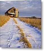 Pathway To Shelter - Fs000412 Metal Print