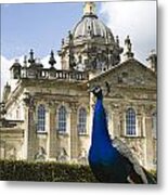 Peacock In Front Of A Building Metal Print