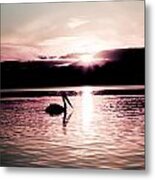 Pelican At Sunset. Metal Print