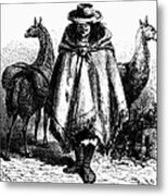 Peru: Llama Driver, 1869 Metal Print