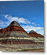 Petrified Forest National Park Metal Print