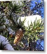 Pine Cone In Winter Metal Print