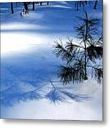 Pine Shadow Metal Print