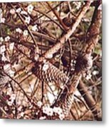 Pinecones And Cherry Blossoms Metal Print