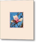 Pink Magnolia Photo Square Metal Print