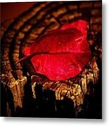 Pink Petal Metal Print