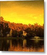 Pond Metal Print