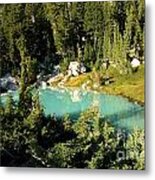 Pool In The Forest Metal Print