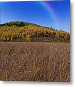 Pot Of Gold Metal Print