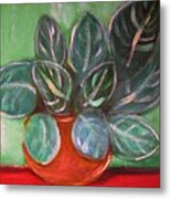 Potted Plant Metal Print