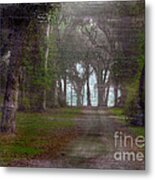 Prairie Road Metal Print