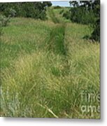 Prairie Trail In High Grass Metal Print