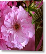 Pretty In Pink Blossom Metal Print