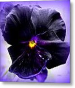 Purple Majesty Metal Print