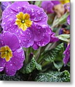 Purple Rain Metal Print