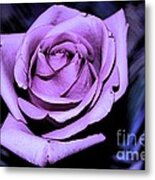 Purple Rose Metal Print