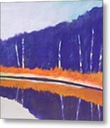 Quiet Pond Metal Print