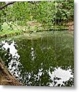 Rainforest Lake In New Zealand Metal Print