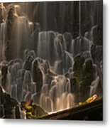 Ramona Falls Or Metal Print