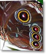 Red And Yellow Eyes Metal Print