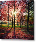 Red Autumn Metal Print