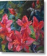 Red Azaleas Metal Print