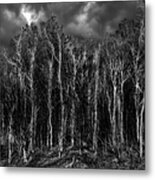Red Forest Bw Metal Print