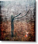 Red Fox Under Tree Metal Print