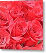 Red Roses Metal Print