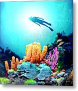Reef Diver Filtered Metal Print