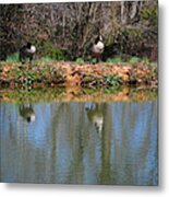 Reflections Metal Print