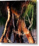 Reflections Metal Print by Michelle Wrighton