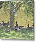 Restful Gathering Metal Print