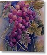 Ripening On The Vine Metal Print