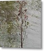 Ripples Metal Print