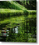 River Reflections Metal Print