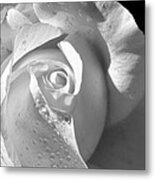 Romantic White Bridal Rose Metal Print