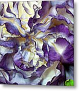 Ruffles Metal Print