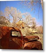 Rusty Beauty Metal Print