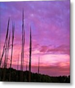 Sailor's Delight Metal Print