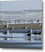 Sea Gulls And Breakers Metal Print