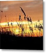 Sea Oat Sunset Serenade Metal Print