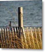 Sea Oats Metal Print