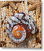 Sea Snail Shell And Starfish Metal Print