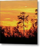 Setting Sun Metal Print